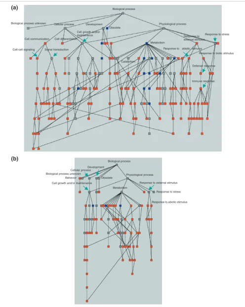 Figure 2 (see legend on next page)