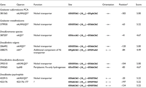 Figure 6(small blue arrows)Genomic organization of the nickel-regulated genes and NikR-binding sites 