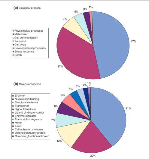 Figure 2Gene Ontology (GO) classification of novel expression-validated genes (EVGs)of assignment of multiple GO terms to some EVGs