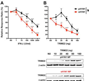 FIG 2 pH1N1 NP is more resistant to TRIM22-mediated inhibition than sH1N1 NP in a polymerase activity