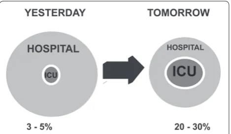 Figure 1. Changing place of the ICU within the hospital. Schematic to demonstrate the increasingly large place that the ICU of tomorrow will occupy within the hospital system compared with the past, with ICU beds representing a much larger percentage of total hospital beds.
