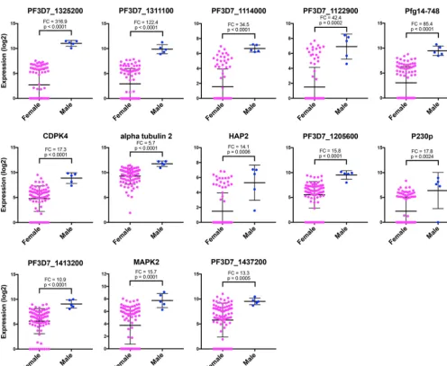 FIG 4Individual genes exhibit distinct male-enriched expression patterns. Dot plots represent the most robust markers for male and female sexual(error bars)