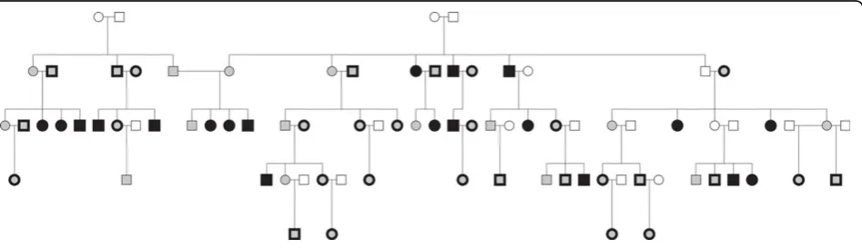 Figure 1 Pedigree structure of family 10. Filled: genotyped. Open: missing genotype data