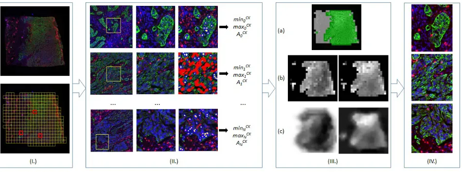Figure 3. Locally adaptive normalization: (I.) Tiles are created; (II.) For each stain, min