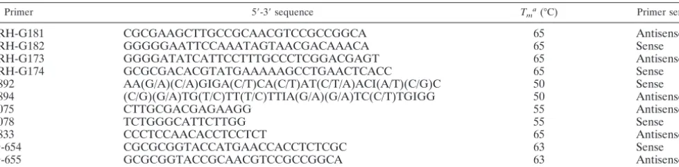 TABLE 1. Oligonucleotides used for PCR