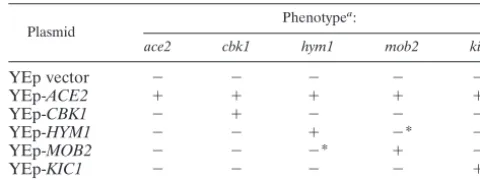 TABLE 2. Plasmids used in this study