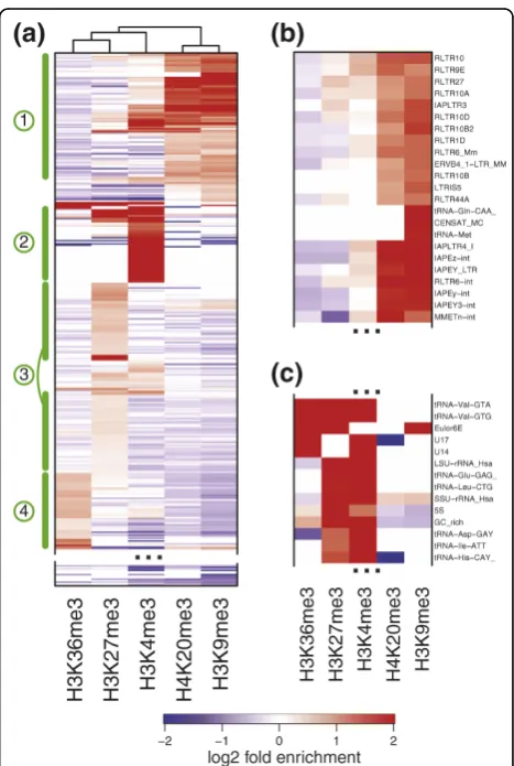 Figure 3 Repeat enrichment patterns in mouse cell lines. (a)Combinatorial patterns of repeat enrichment in mES cells