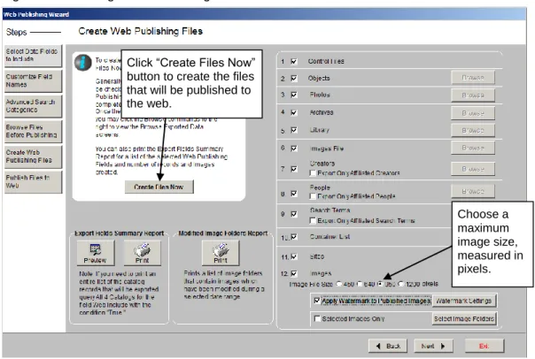 Figure 11: Creating Web Publishing Files 