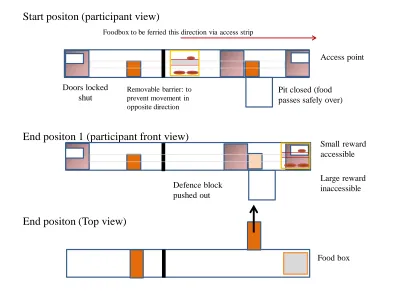 Fig 4. Trained solution to the Pitfall box   