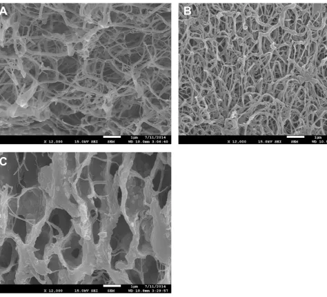 Figure 4: Influence of ECM origin on the hydrogel microstructure. 