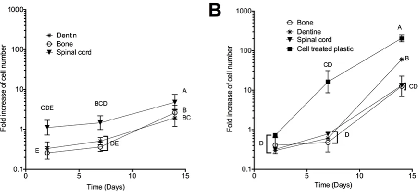 Figure 5: Influence of ECM origin on SCAP proliferation. 