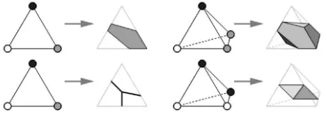 Fig. 2. Examples of geometric substitution rules in Marching Cubes,generalized to thecorrespond to sign ofpositive and white for negative