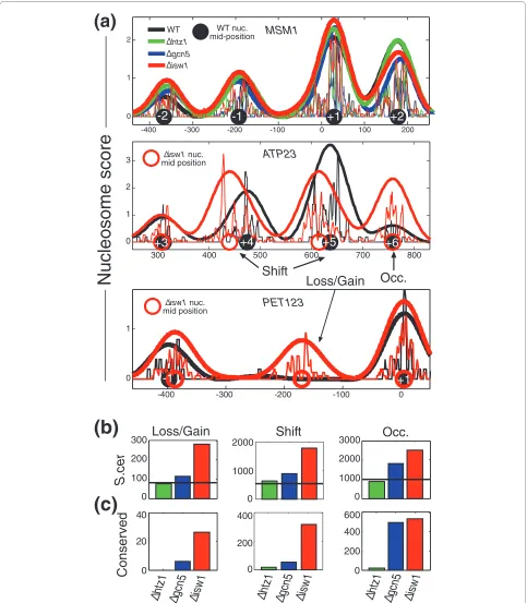 Figure 2 Remodeling of individual nucleosomes. (a) Read density and calculated nucleosome scores for wild-type (WT) and three mutant strains at three genes (MSM1, which has similar nucleosome patterns for all strains, and ATP23 and PET123, which have diffe