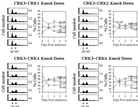 FIG. 4. FACS analysis of double CRK-deﬁcient bloodstream-form T. bruceicells were stained with PI and subjected to FACS analysis for DNA content