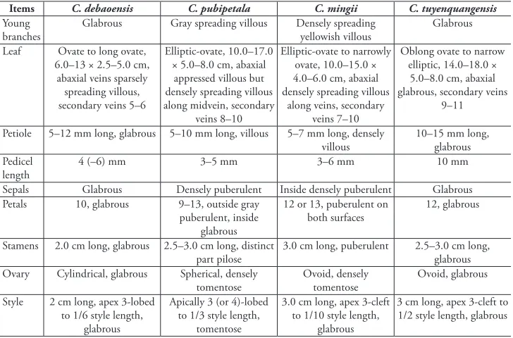 Table 2. Morphological comparison of C. debaoensis with C. pubipetala, C. mingii and C