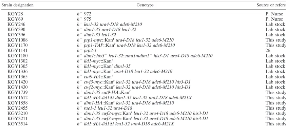TABLE 1. S. pombe strains used in this study