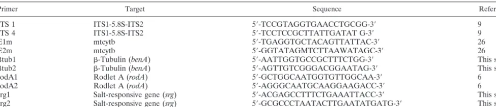 TABLE 1. PCR primers used in this study