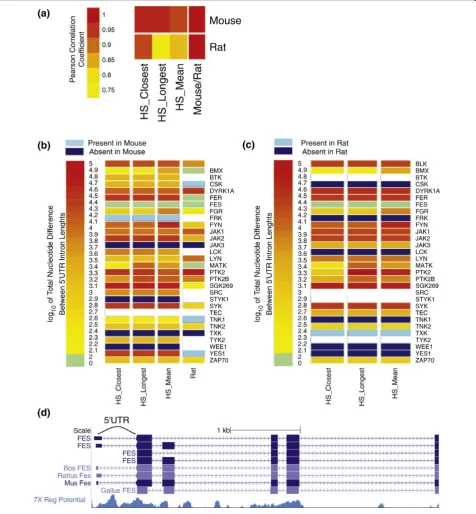 Figure 4 Comparative genomics of 5genomic region containing the 5scores indicate a greater potential for harboring regulatory sequence elements, was calculated using alignments of seven mammalian genomescomparisons