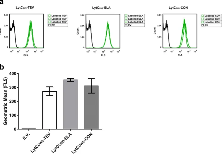 Figure 6. software. (LytC(EV), Labelled TEV, Labelled ELA and Labelled CON are the untreated but labelled samples for LytCLytCB