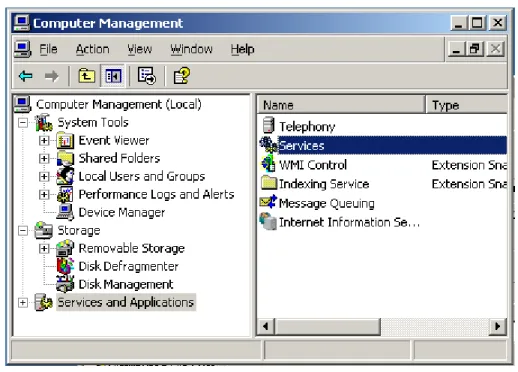 Figure 11: Selecting Services 