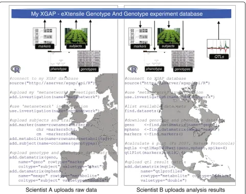 Figure 4 Application programming interfaces. APIs enable bioinformaticians to integrate data and tools with XGAP using web services, R-project language, Java, or simple HTTP hyperlinks