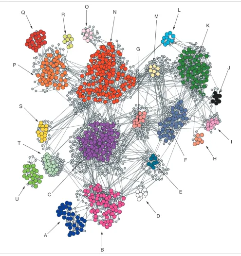 Figure 1Simplification of the yeast FOCI coexpression network constructed by retaining the 4,000 strongest edges (= 1,729 vertices)