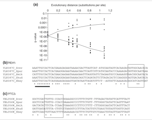 Figure 5Some apparently functional Rpn4p-binding sites are not conserved