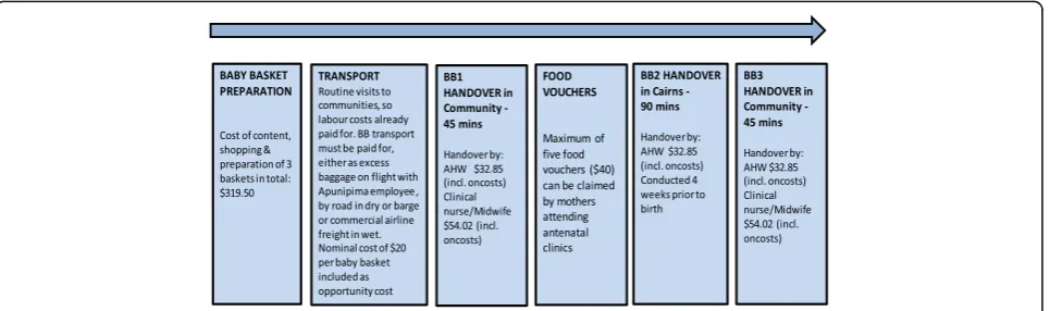 Fig. 1 Schematic of Baby Basket Program activity pdf uploaded separately