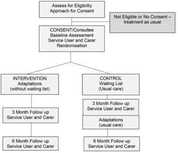Figure 1Flow of participants through the study.