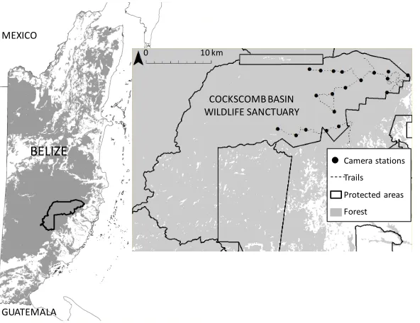 Figure 1.1: Camera trap survey sites within Cockscomb Basin Wildlife Sanctuary, Belize.