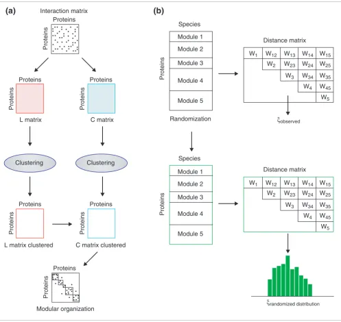 Figure 1Overlap algorithm and multi-response randomization test method