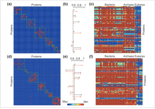 Figure 2Modular organization, mean similarity dendrogram and phylogenetic profile
