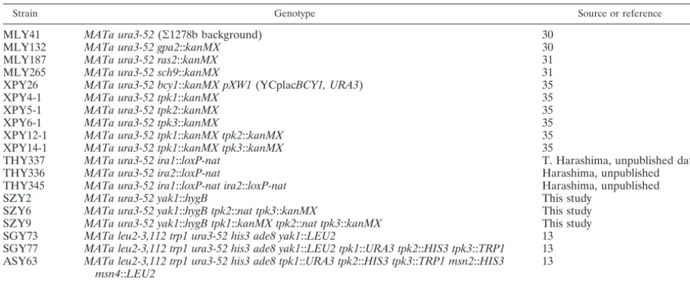 TABLE 1. Yeast strains