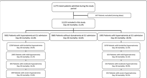 Figure 1 Flow chart of patients admitted during the study period