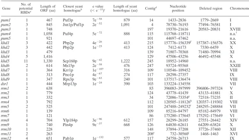 TABLE 1. RNA-binding proteins in U. maydis