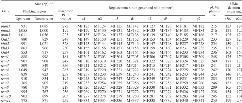 TABLE 2. Deletion of genes encoding RNA-binding proteins