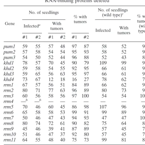 TABLE 3. Phenotyping of strains carrying deletions in genes encoding proteins of the PUM, KHD, or RRM type