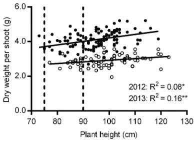 Fig. 2. Grain weight response to de-graining at anthesis. Actual grain weight, the individual grain weight of control spikes (intact); potential grain weight, the individual grain weight of trimmed spikes; extra assimilate use, the difference between poten