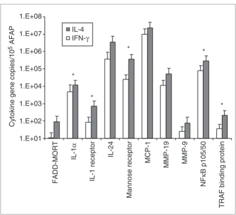 Figure 6IFN-Induction of gene expression by stimulation of LPS-activated MPs with γ and IL-4