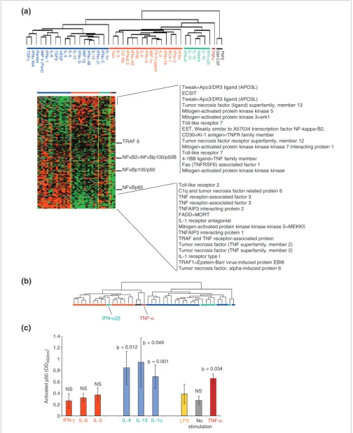 Figure 3 (see legend on next page)