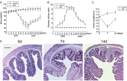 Figure 1. Multiple indicators is used to assess the success of DSS-induced colitis model