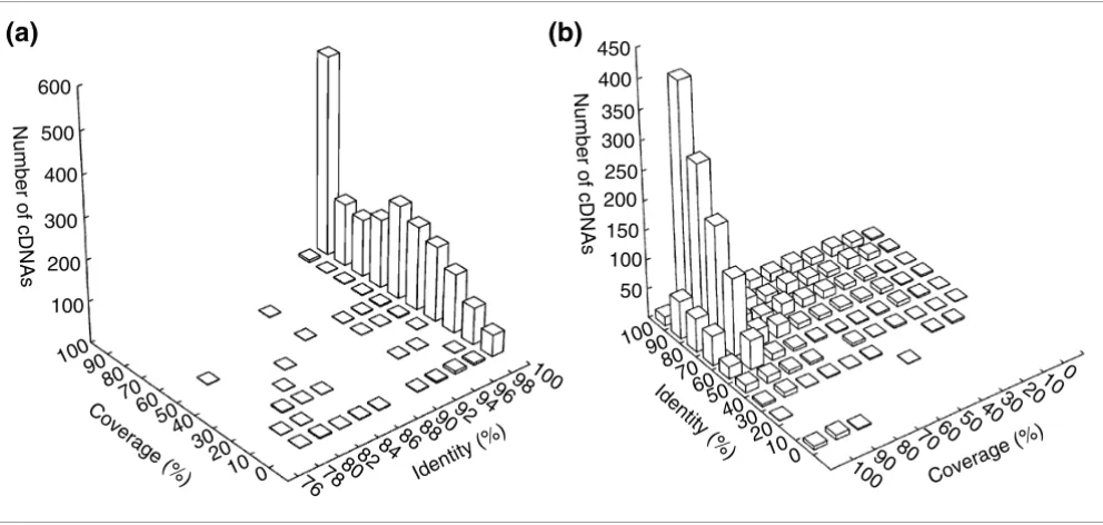 Figure 4Statistics of BLAST searches