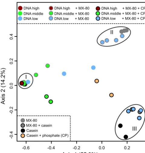 FIG 4A principal-coordinate analysis (PCoA) ordination plot based on Bray-Curtis distance metricsof casein and phosphate (CP) in spiked extracts is indicated by black outlines around circles
