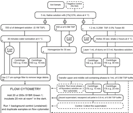 FIG 5 Work ﬂow diagram for samples measured by ﬂow cytometry in this study. The letters indicate the pathways of the three mainprotocols that were adjusted and compared by spiking samples with E