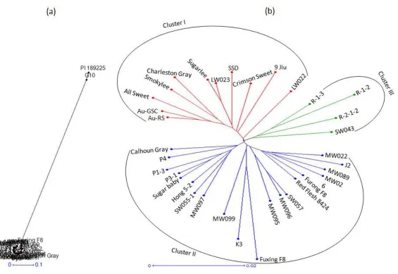 Fig. 1.Neighbor-Joining dendrogram showing the genetic relationships among 37 (a) and 35 (b) watermelon cultivars based on 3882 single 