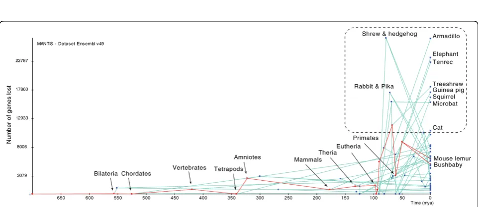 Figure 2 Increase of genome size through evolutionary time for all lineages of the tree in Figure 1