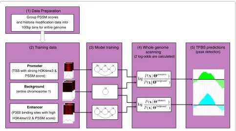 Figure 4 The framework of Chromia. (1) Data preparation. Chromia takes binned signals of PSSM scores and eight histone marks in the entire ge-nome as input