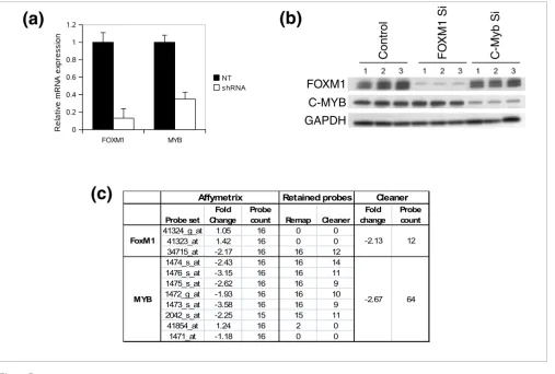 Figure 5FOXM1 to RefSeq transcripts and Cleaner annotation suggest that probes assigned to these probe sets either fail to match target genes or are inconsistent