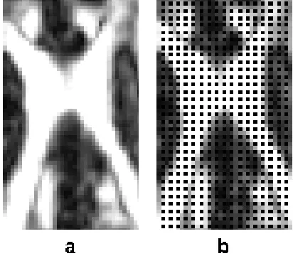 Figure 3.A two-dimensional region of interest; locations of validation tensors are shown in black (b) against thebackground of FA map (a) of the same region (the remaining locations provide training tensors).