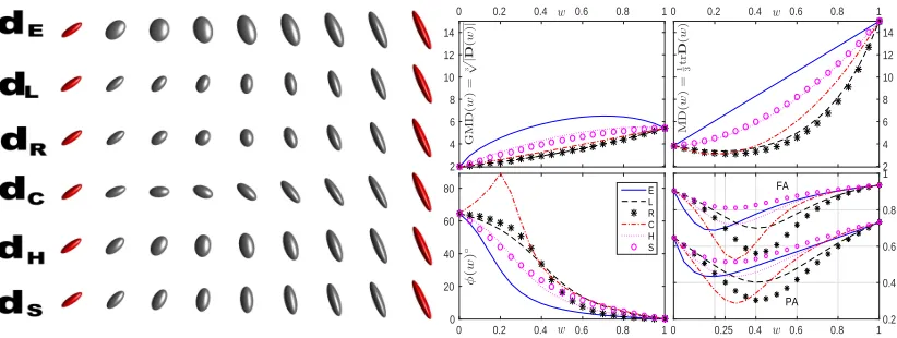 Figure 5.Geodesic paths in Experiment II between two general reference tensorsred) with general (i.e